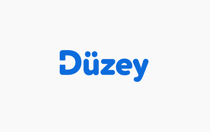 Düzey Logo